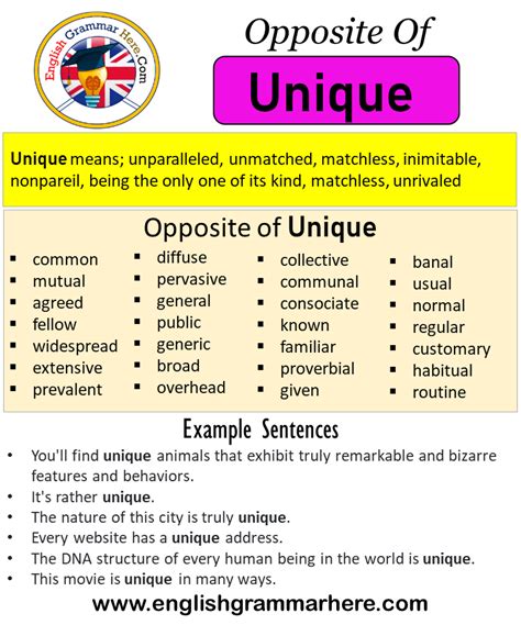 Opposite Of Unique Antonyms Of Unique Meaning And Example Sentences