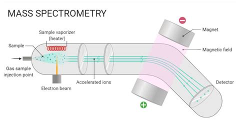 Espectrometría De Masas Em Principio Funcionamiento Partes Pasos