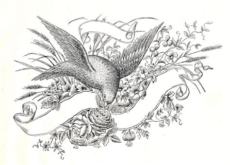 Free Antique Clip Art Amazing Bird With Ribbon Banner