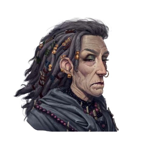 Female Old Human Shaman Or Witch Portrait Veld Pathfinder Pfrpg Dnd D