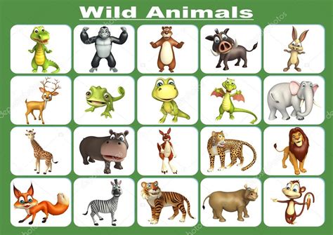 Group Of Wild Animal Chart — Stock Photo