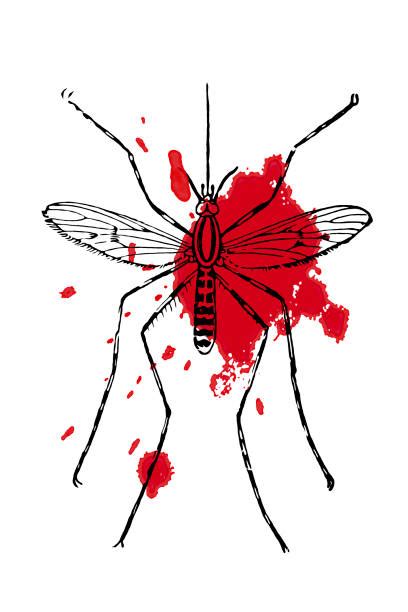 Dead Mosquito Illustrations Royalty Free Vector Graphics And Clip Art