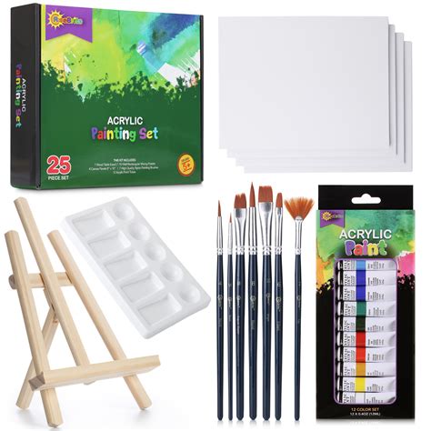 Risebrite Acrylic Paint Set With Canvas 25pcs Painting Kit Includes