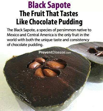 The unripe fruit is very bitter and toxic enough to use as a fish poison in some cultures. The fruit that tastes like Chocolate Pudding | Chocolate ...