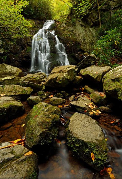 Mossy Rocks Spruce Flats Falls Great Smoky Mountains