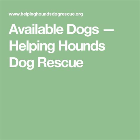 Available Dogs — Helping Hounds Dog Rescue Hound Dog Rescue Dogs Hound