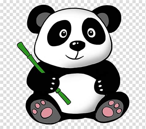 Panda Illustration Giant Panda Bear Drawing Panda Transparent