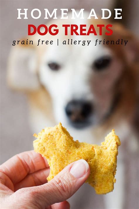 Grain free homemade dog food. Dog Treat Recipe for Dogs with Allergies (Grain Free ...