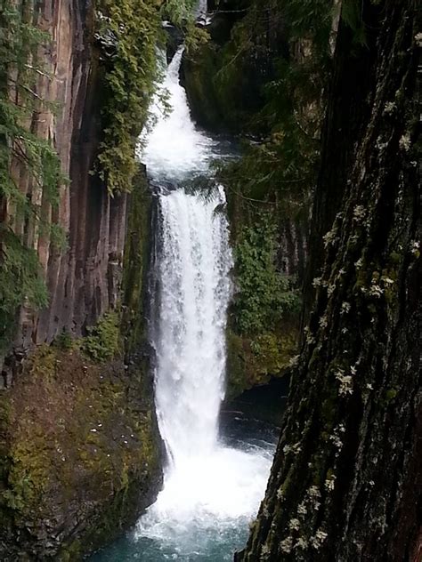 Three Amazing Waterfall Hikes One Hot Spring In The North Umpqua