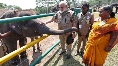 Pm Modi Meets The Elephant Whisperers Couple Bomman And Bellie