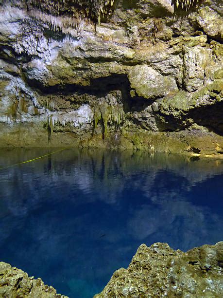 1000 Yucatan Peninsula Sinkholes Sinkhole Cenote Stock Photos