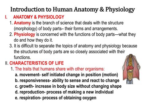 Discuss The Fundamental Relationship Between Anatomy And Physiology