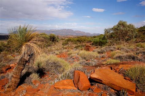 Australian Outback Desert Landscape By Jwwallace Redbubble