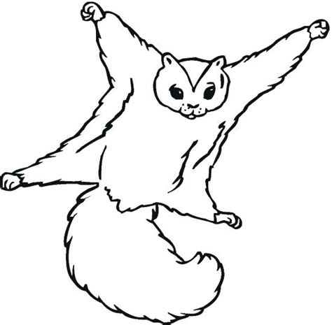 Flying Squirrel Coloring Page Coloring Pages