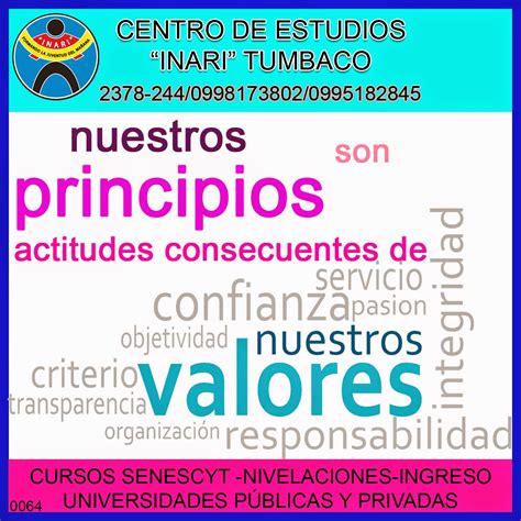 Diferencias Principios Y Valores Centro De Estudios Inari