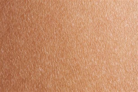 Human Skin Texture High Quality People Images Creative Market