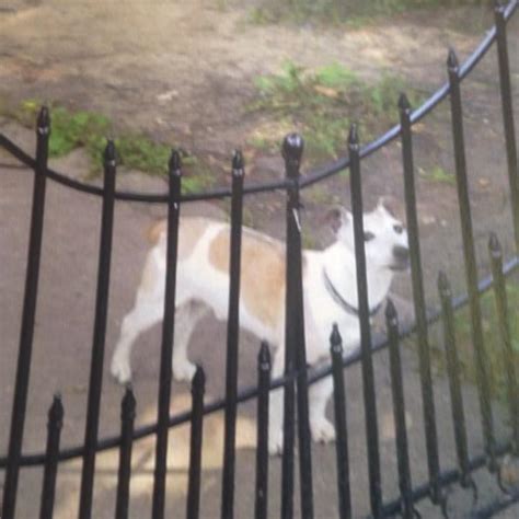 We've developed a protection program that is designed to. Lori K Say's - Home | Facebook