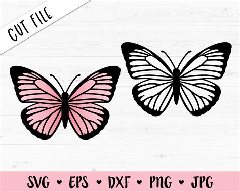 Butterfly Clipart Dxf Butterfly Files For Cricut Eps Png Cut Files For