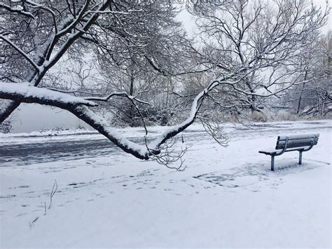 The amount of snow that falls in a single storm or in a given period. The meaning and symbolism of the word - «Snow»