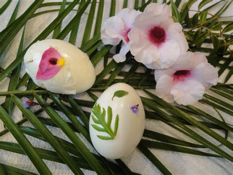 Oc Mom Blog Pressed Flowers Easter Eggs