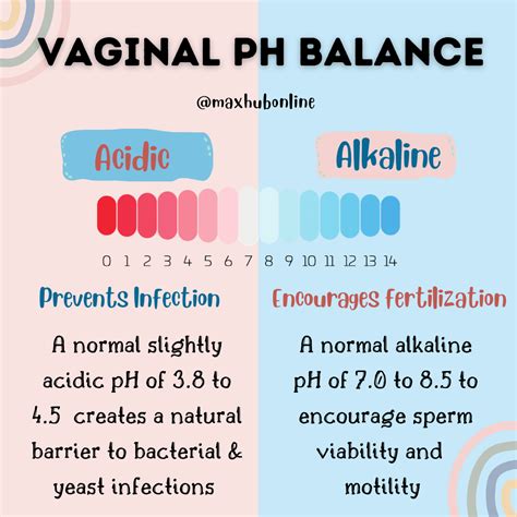 Vaginal Ph Balance The Importance Maxhub Pharmacy