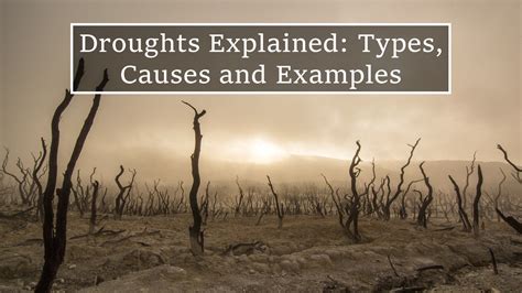 Droughts Explained Types Causes And Examples Yo Nature