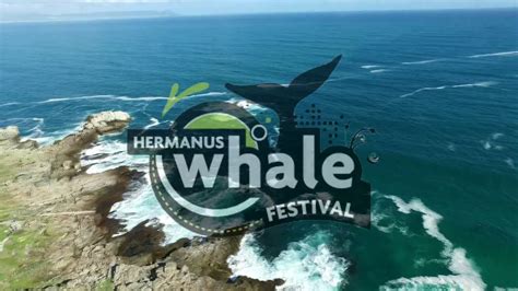 Hermanus Whale Festival October 2016 Youtube