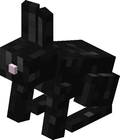 Rabbit Minecraft Bedrock Wiki Fandom Powered By Wikia
