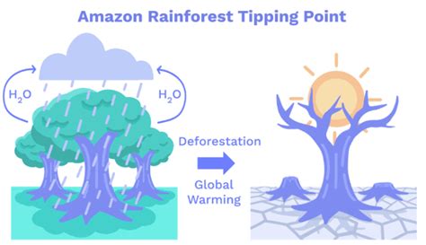 Tipping Points Why We Might Not Be Able To Reverse Climate Change