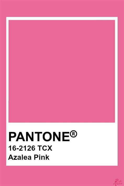 Pantone Azalea Pink Pantone Colour Palettes Pantone Pink Pantone