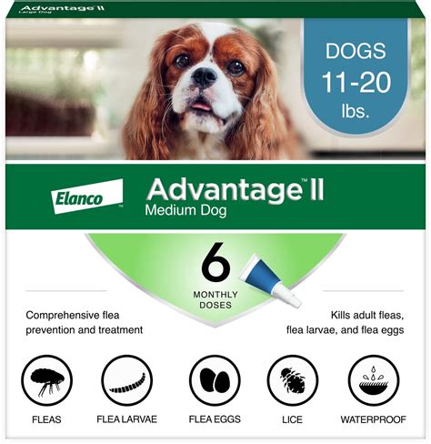 Advantage Ii Flea Treatment For Medium Dogs 11 20 Lbs 6 Treatments