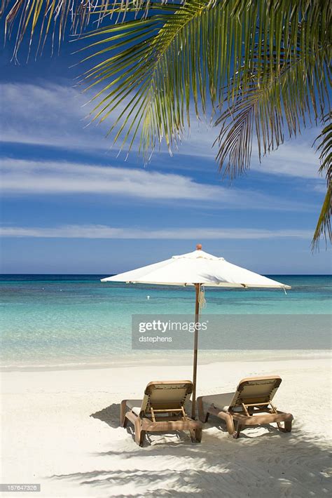 Tropical Beach Scene High Res Stock Photo Getty Images