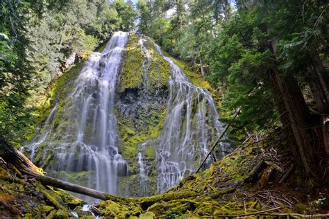 Lower Proxy Falls Oregon Foto And Bild North America United States