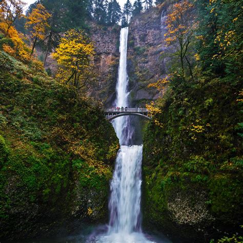 Sneak Peek Into Columbia River Gorge National Scenic Area Oregon City