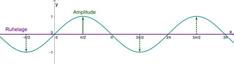 Amplitude Und Ruhelage Der Trigonometrischen Funktionen Lernen Mit Serlo