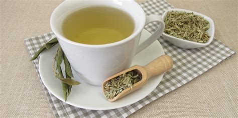 Olive Leaf Tea Benefits Nutrition And Side Effects Kent Tea And Coffee Co