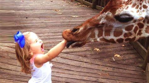 Funny Baby 😂 Best Funny Babies With Cute Animals Video Compilation