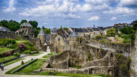La fougère fait aussi partie des plantes du jardin japonais. Fougeres, Francia fotografía editorial. Imagen de francia ...