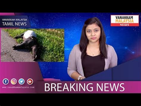 4th february (2nd update) 2020 #vanakkamnews. Vanakkam Malaysia Tamil News: 06th January 2020 - YouTube