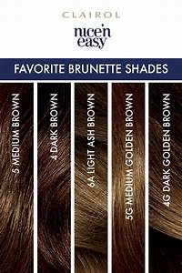 Clairol Nice 39 N Easy Favorite Brunette Shades In 2020 Permanent Hair