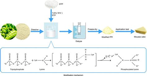 Pea Protein Peptide Acb Pisum Sativum Peptide