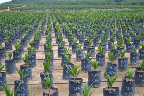 Check spelling or type a new query. Introduction - KLPK Sdn. Bhd. Official Portal