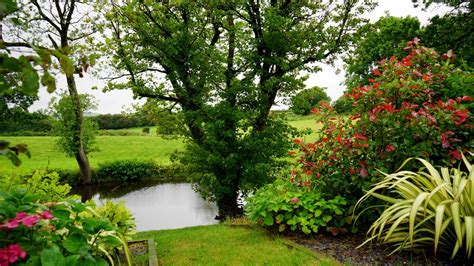 Free Images Tree Nature Path Grass Plant Lawn Flower Pond