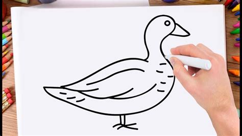 Duck Drawing Easy Free Download On Clipartmag