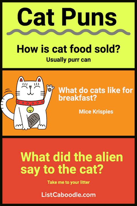 57 Funny Cat Puns That Will Have You Feline Good Listcaboodle