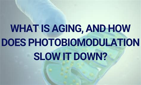 What Is Aging And How Does Photobiomodulation Slow It Down Regenus