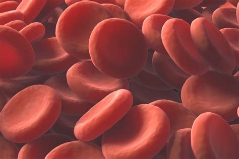 Como Identificar E Tratar Os Diferentes Tipos De Anemia Tua Saúde