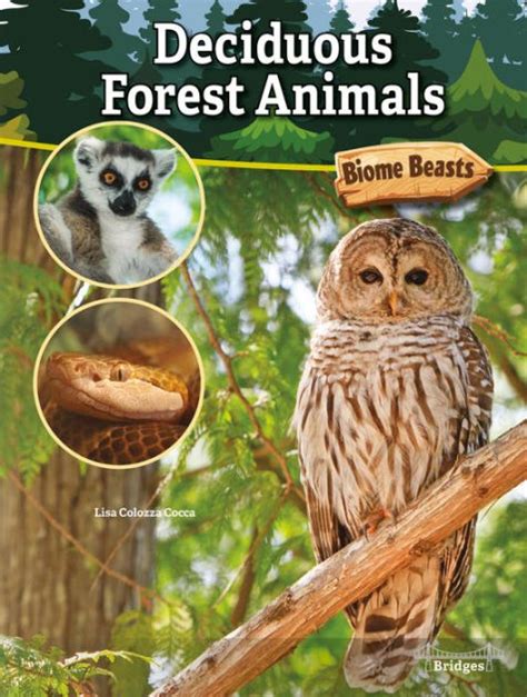 Deciduous Forest Animals By Lisa Colozza Cocca Nook Book Nook Kids