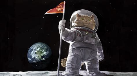 Astronaut On Moon With Cat Page 5 Pics About Space With Images