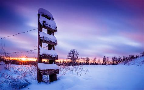 Snow Winter Sunset Purple Barb Wire Fence Hd Wallpaper Nature And